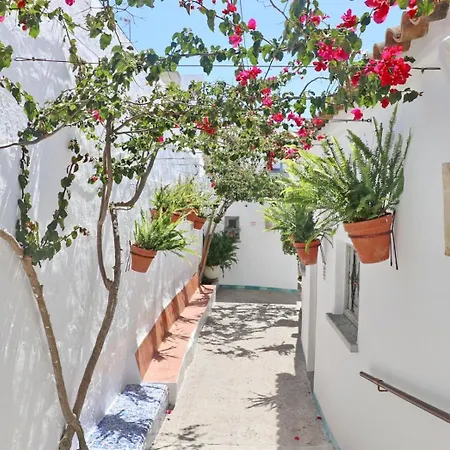 Complejo La Chanca, Hab 17 *